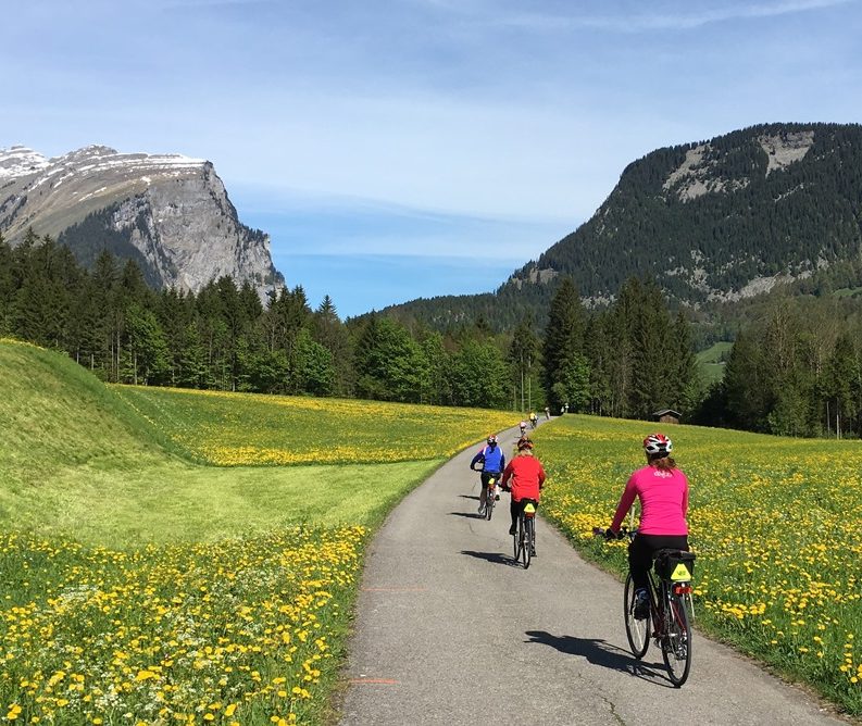 vbt bicycle tours