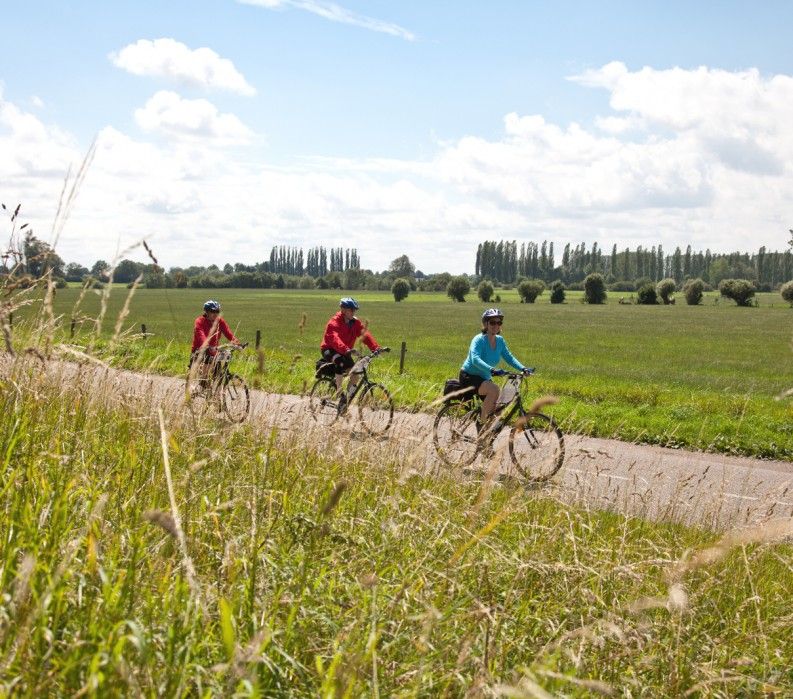 vbt bike tours amsterdam