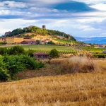 France: Vineyards Of Beaujolais | VBT Bicycling Vacations