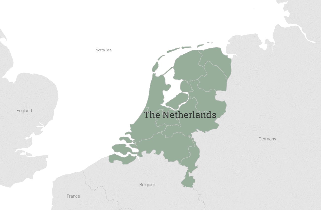 Yo Dazzlers concert Nederland - Hollanda tour
