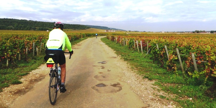 Top 5 Active Tours To Take This Fall | VBT Bicycling Vacations