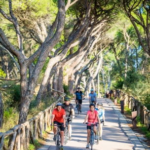 Biking Tours | VBT Bicycling Vacations