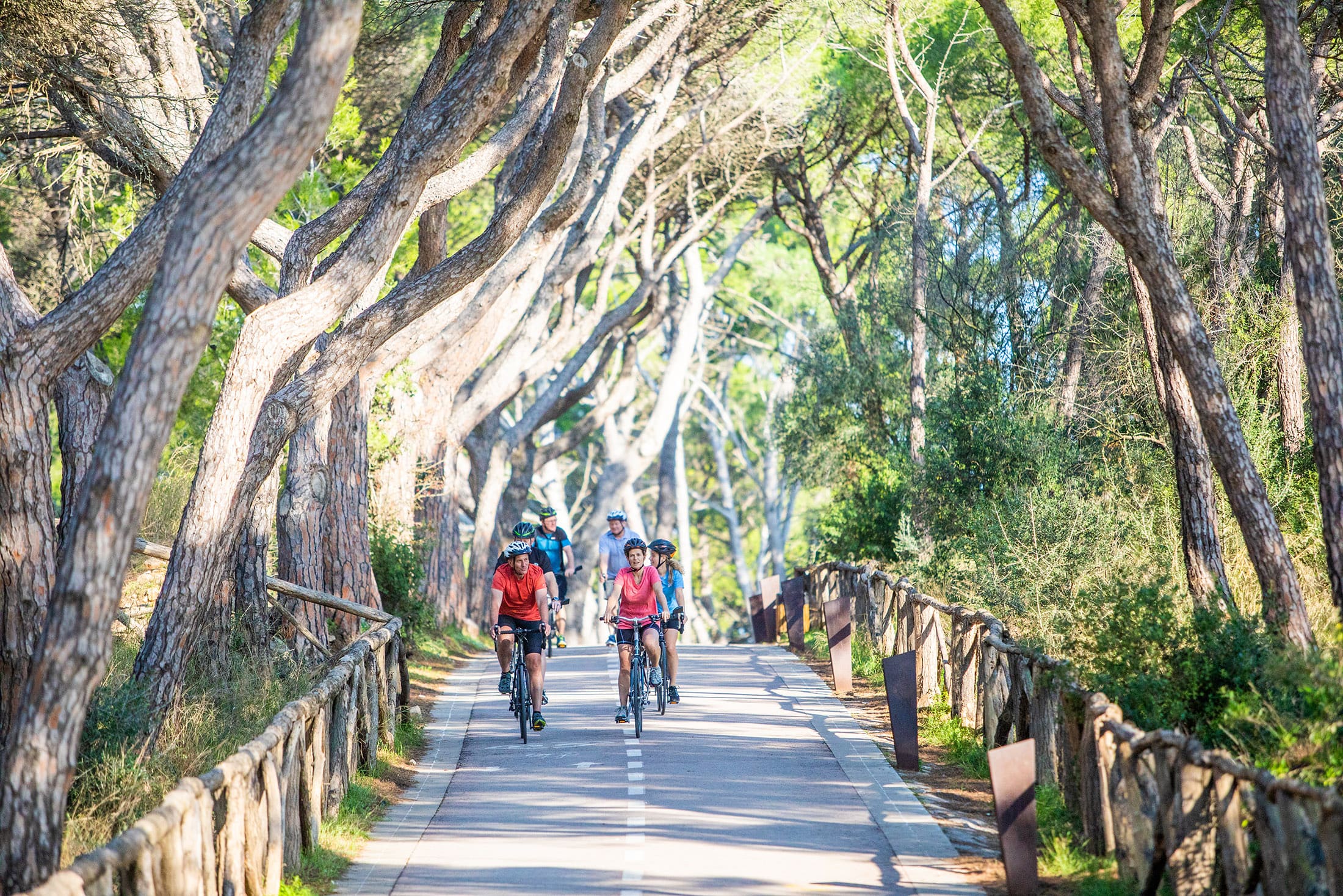 Self-Guided Bicycling Vacations 3