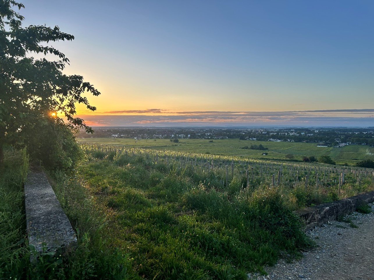 The Magic of Burgundy Through the Eyes of A VBT Guest 2